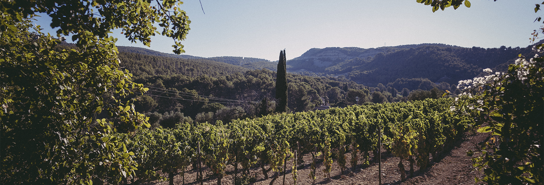 Weinaroma-Koffer